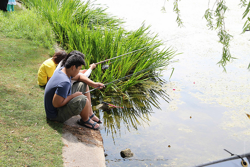 Urban fishing : la pêche comme loisir urbain